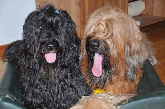 Cody och Winna